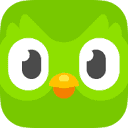 Duolingo Öğrenci Plus logosu