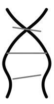 LONGEVITY SYSTEMS Logo